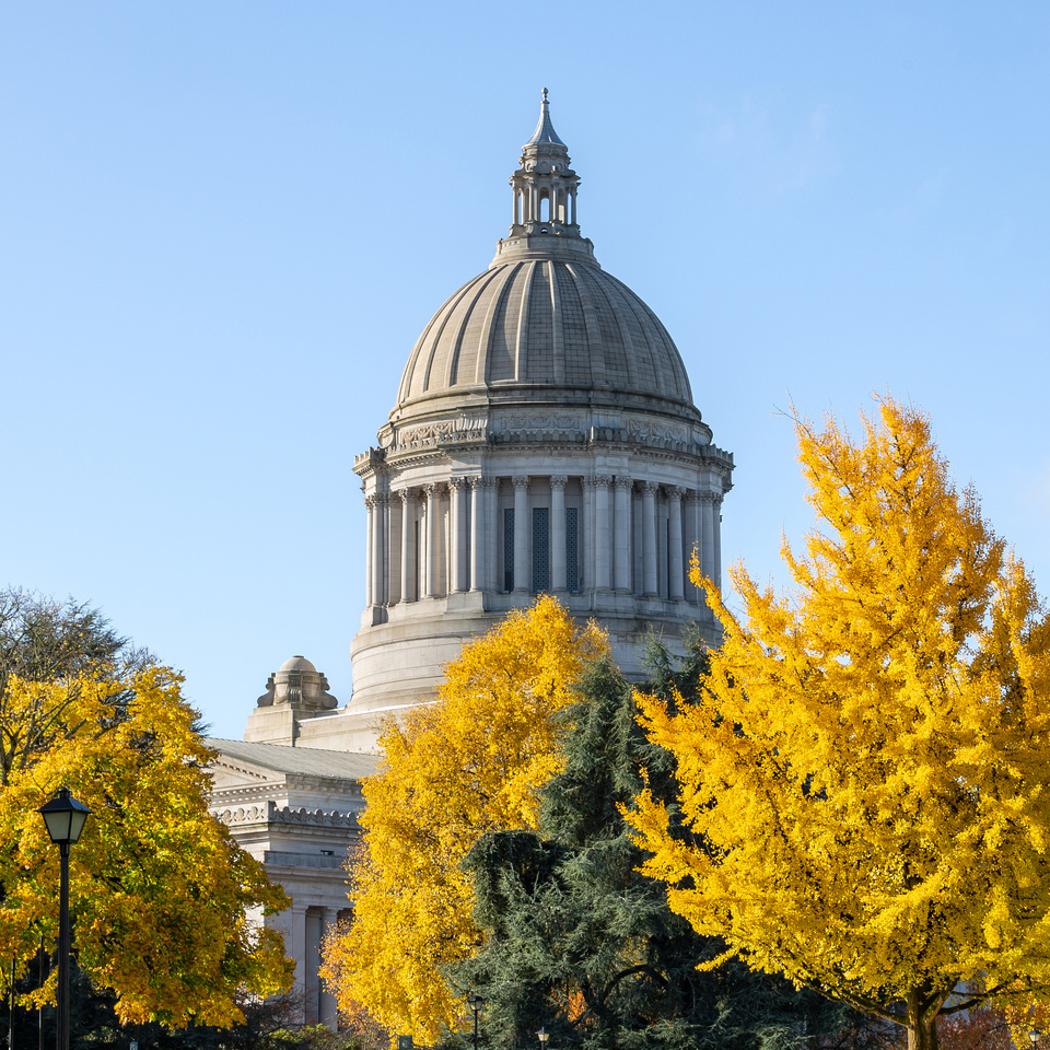 Capitol Fall Campus Scene