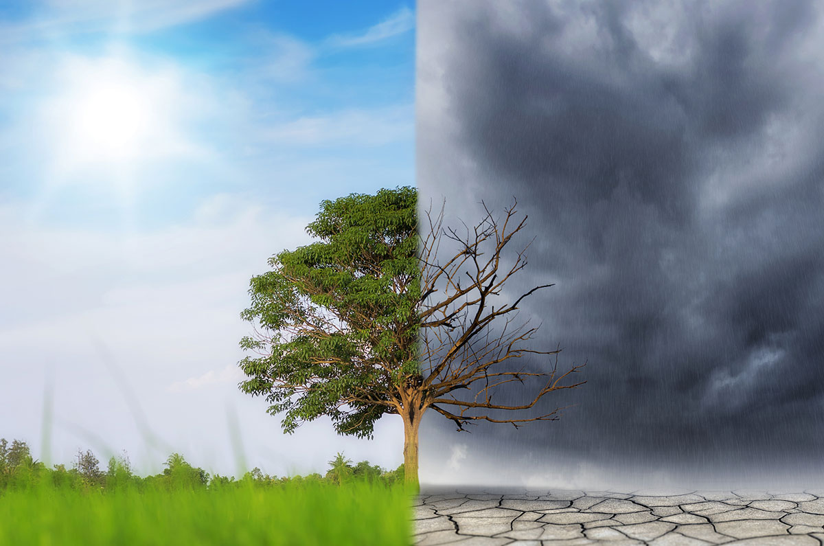 Climate Change and Financial Risks