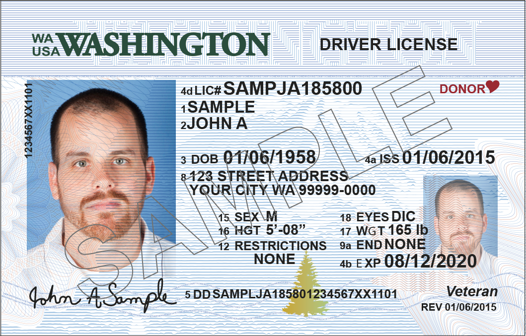 Driver License Number Format By State